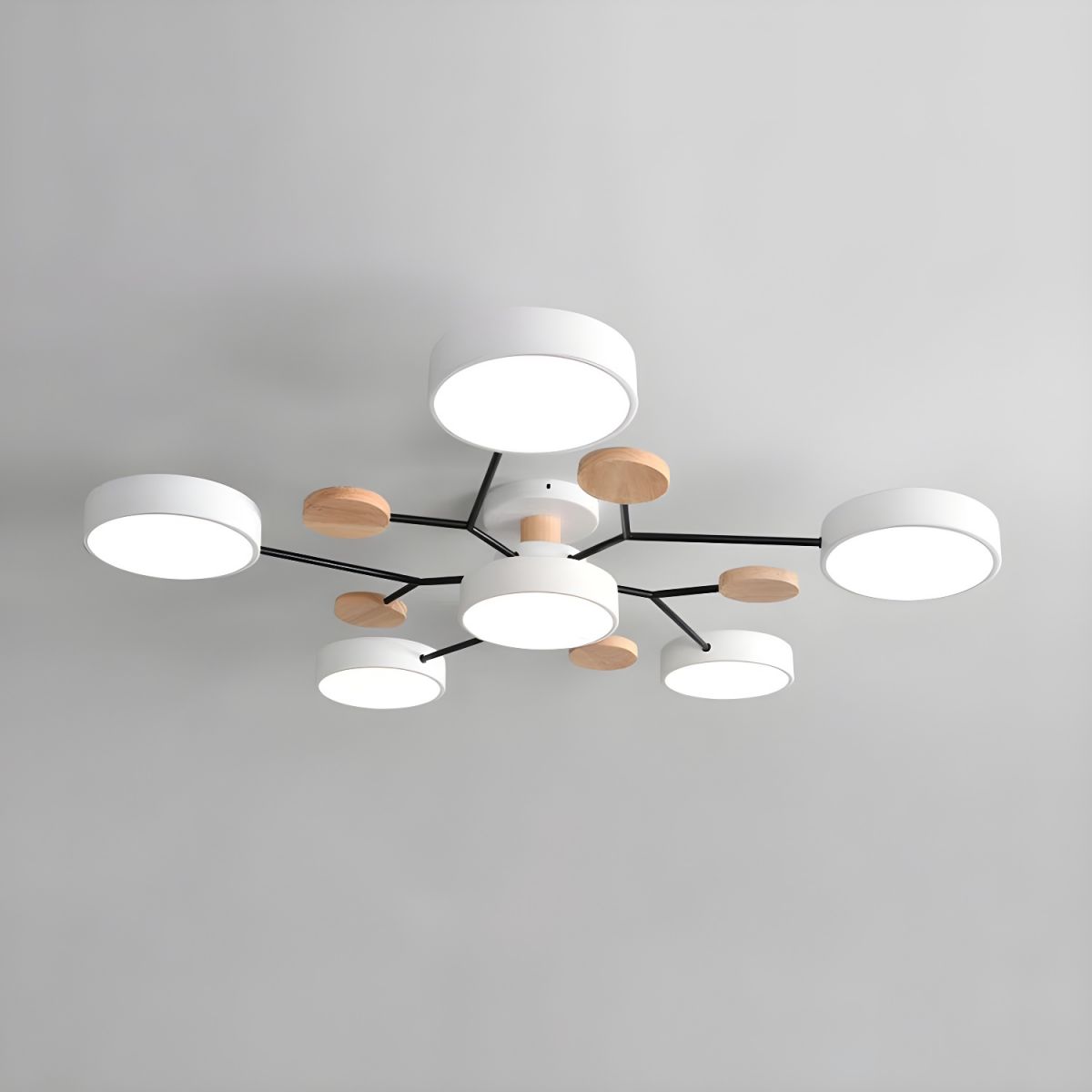 Ceiling Lights Modern LED Living Room | Multi-armed