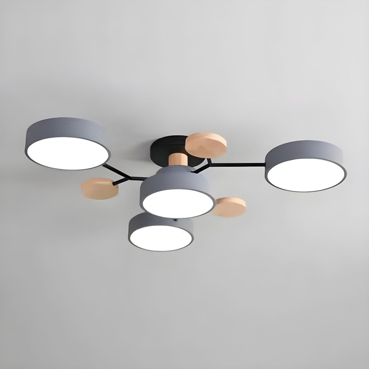 Ceiling Lights Modern LED Living Room | Multi-armed