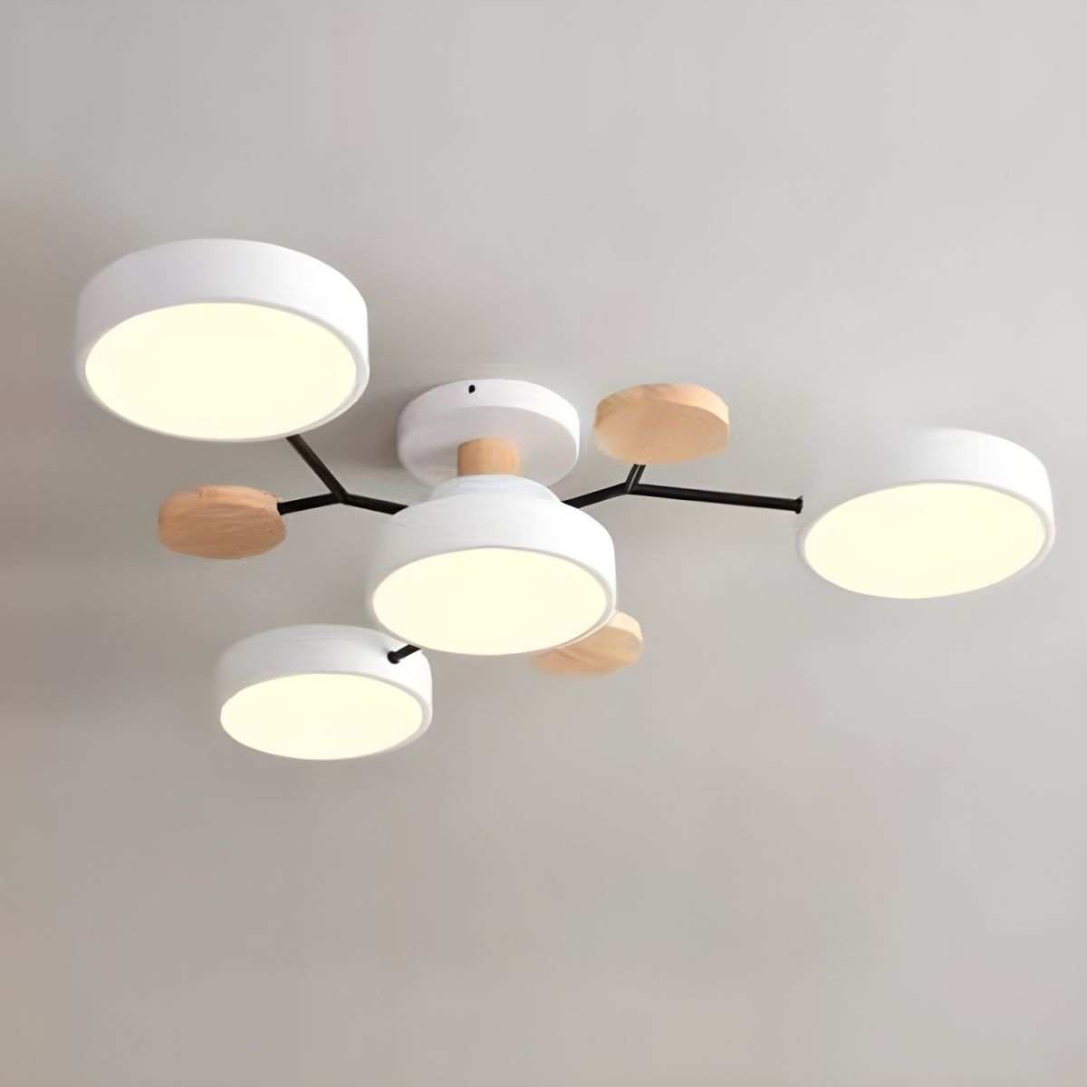 Ceiling Lights Modern LED Living Room | Multi-armed