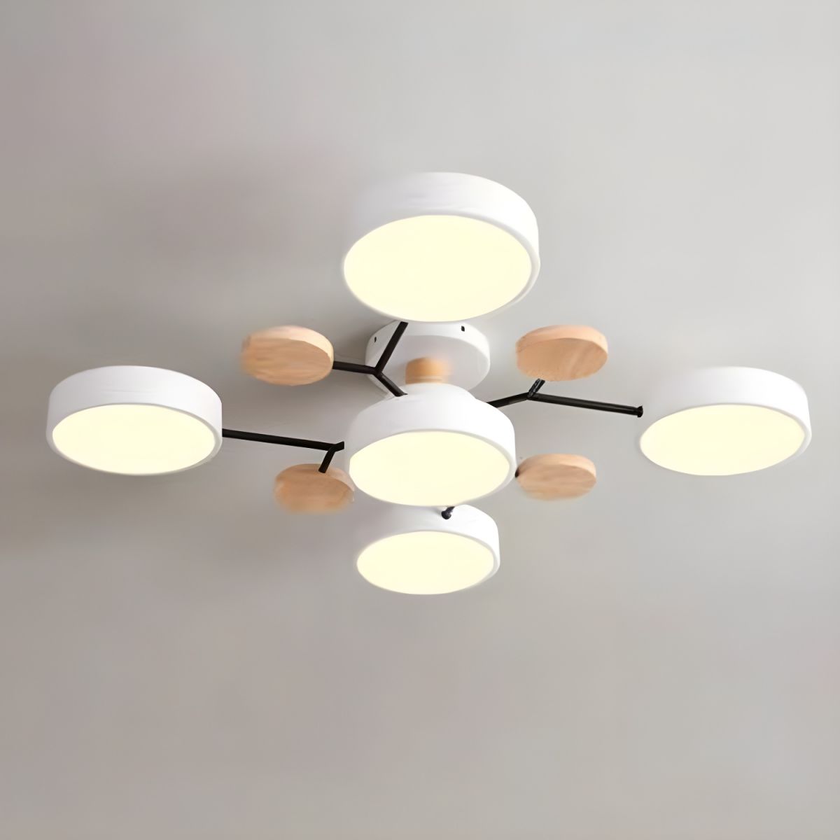 Ceiling Lights Modern LED Living Room | Multi-armed
