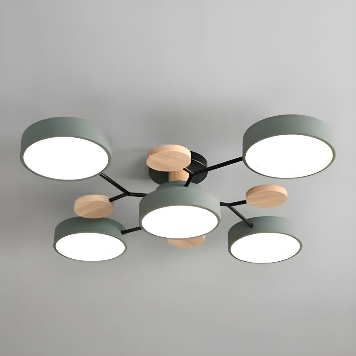 Ceiling Lights Modern LED Living Room | Multi-armed