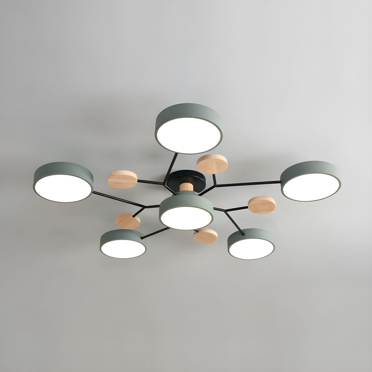 Ceiling Lights Modern LED Living Room | Multi-armed