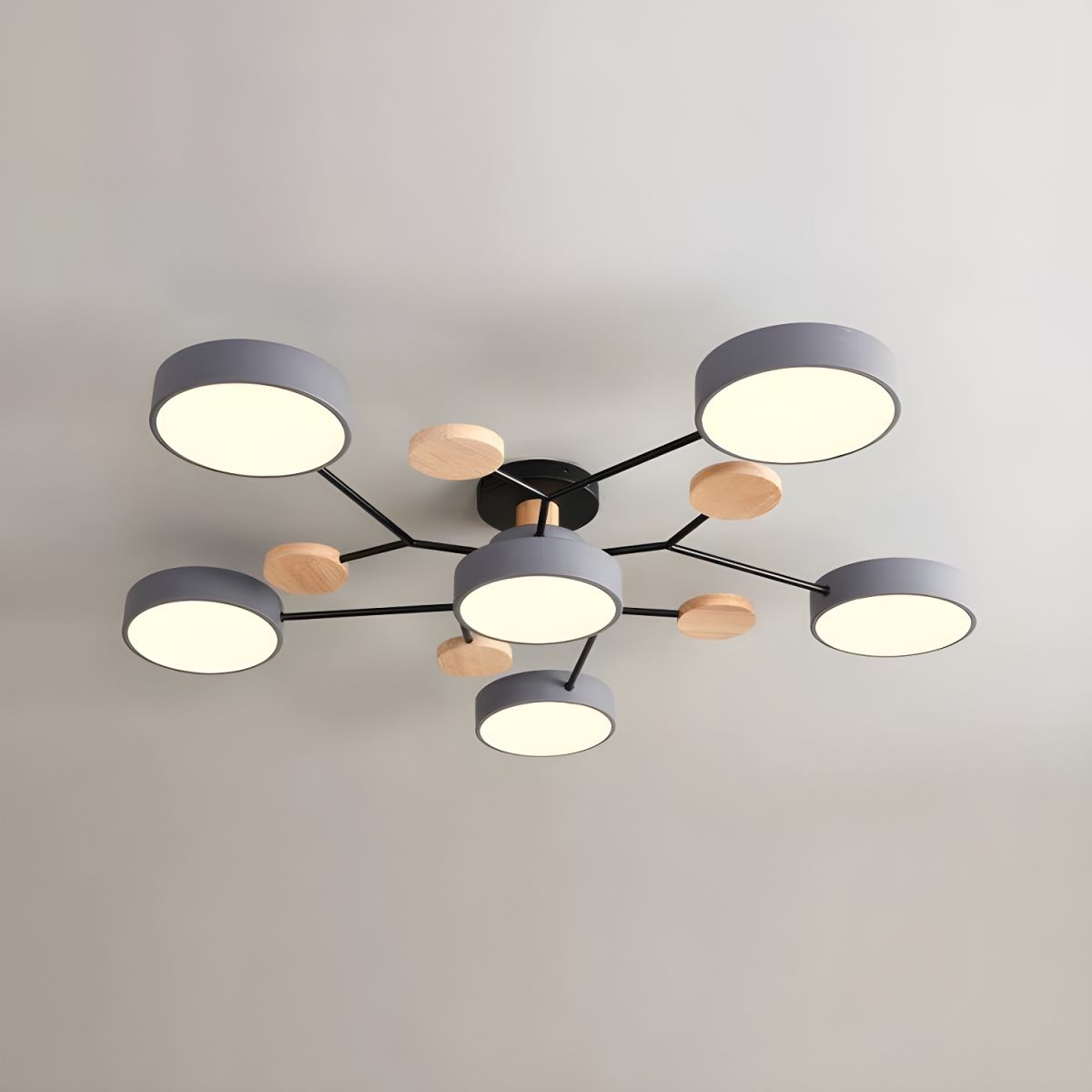 Ceiling Lights Modern LED Living Room | Multi-armed