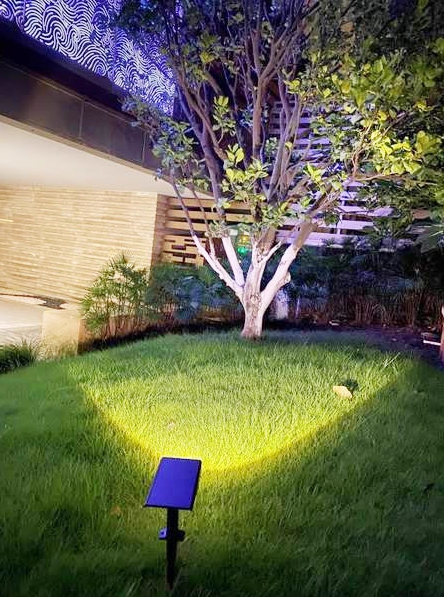 Outdoor Lights Solar LED Spotlights | Garden Path