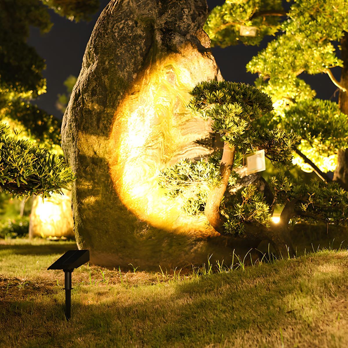 Outdoor Lights Solar LED Spotlights | Garden Path