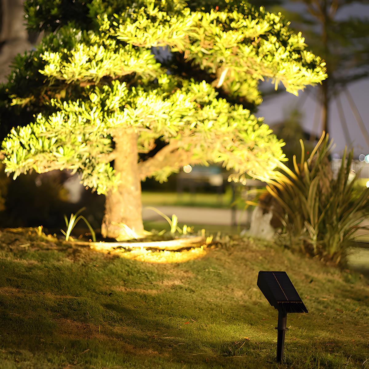 Outdoor Lights Solar LED Spotlights | Garden Path