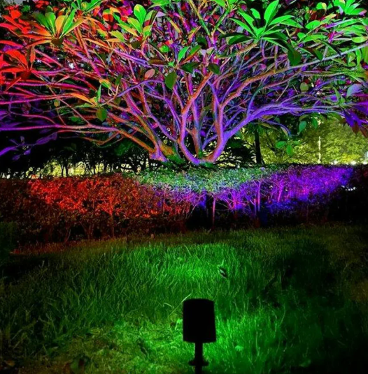 Outdoor Lights Solar LED Spotlights | Garden Path