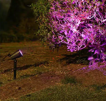 Outdoor Lights Solar Spotlight for Garden & Pathways | LED